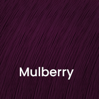 mulberry 1
