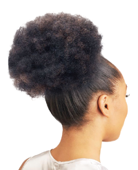 Afro Bun Feature