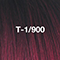 T 1 900