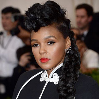 Janelle Monae box braid Hairstyles